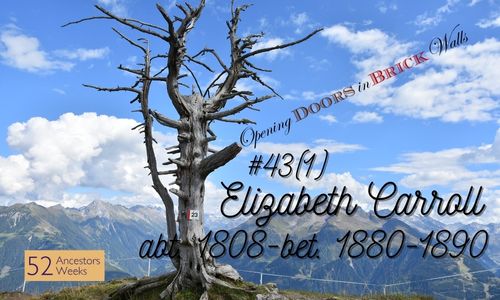 52 Ancestors: #43(1) Elizabeth CARROLL abt. 1808-bet. 1880-1890